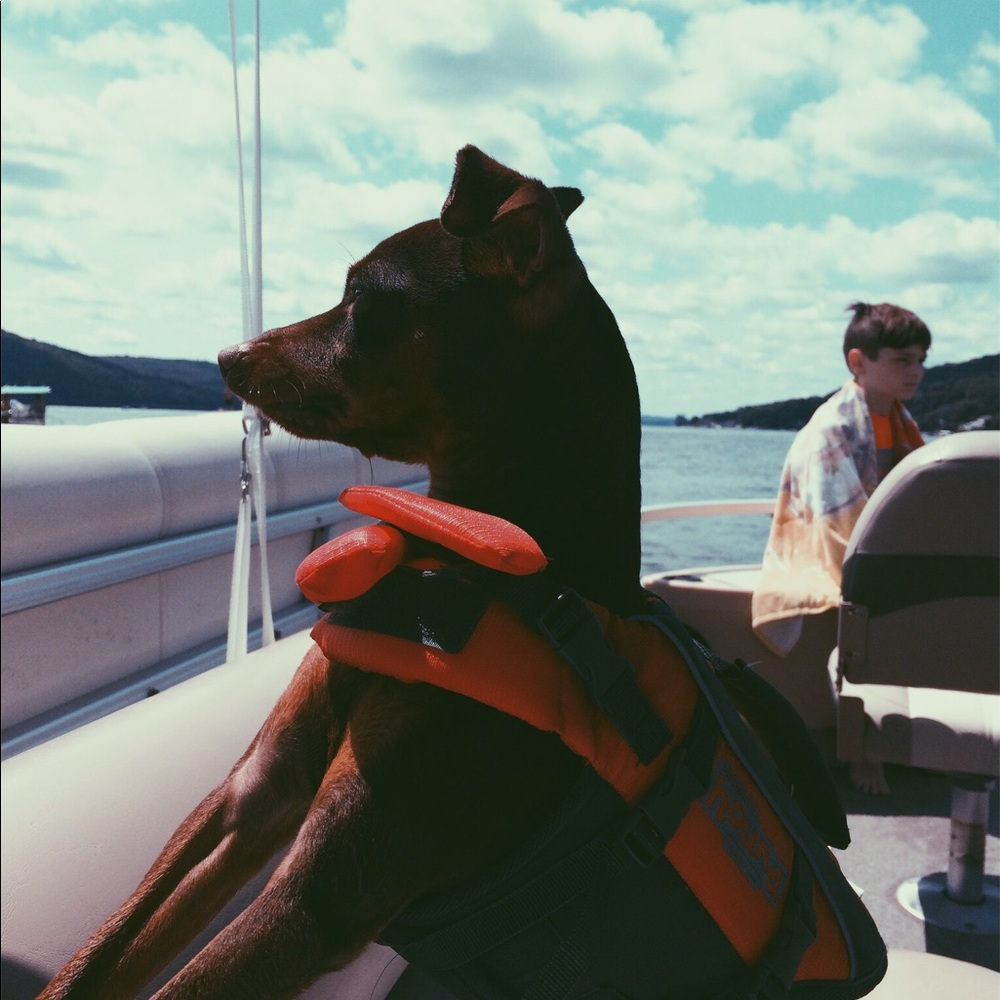 Meet your Posher, Emma